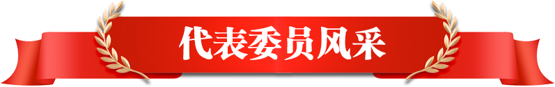 新聞發(fā)布會